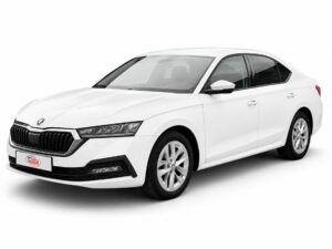Skoda Octavia(HAK) WY753FP